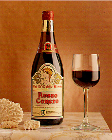 Rosso Conero