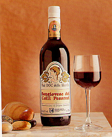 Sangiovese dei colli pesaresi