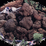 tartufo_nero